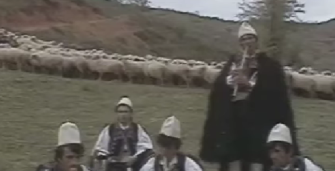 Албанац, Арнаут, Шиптар...