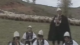 Албанац, Арнаут, Шиптар...