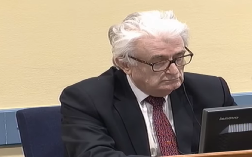 Karadžić u Hagu